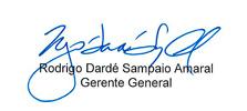 firma gerente general